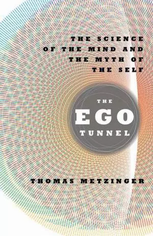 Туннель Эго