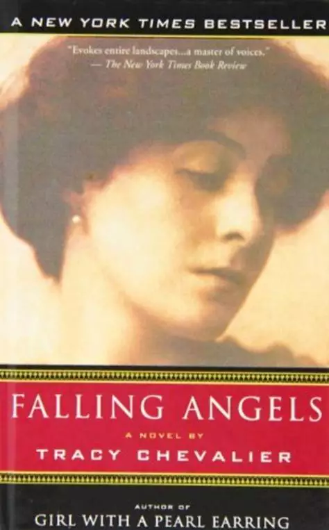 Falling Angel