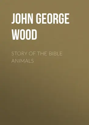 Story of the Bible Animals