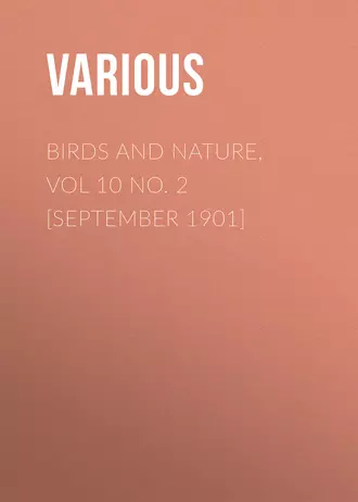 Birds and Nature, Vol 10 No. 2 [September 1901]