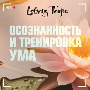 Что? Как? Почему? Мои первые знания про тело человека