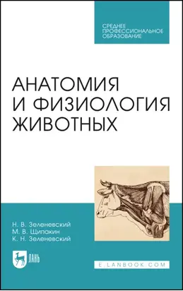 Анатомия и физиология животных. Учебник для СПО. 9-е издание, стереотипное