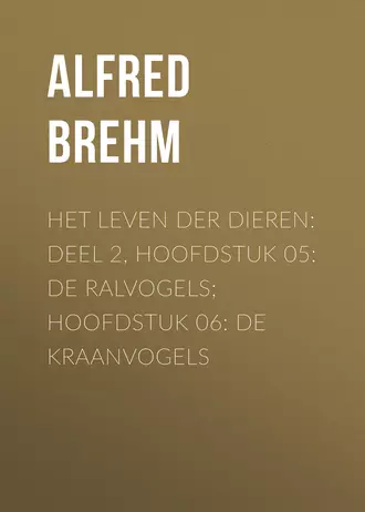 Het Leven der Dieren: Deel 2, Hoofdstuk 05: De Ralvogels; Hoofdstuk 06: De Kraanvogels