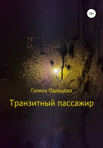 Транзитный пассажир