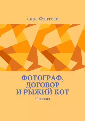 Фотограф, договор и рыжий кот. Рассказ