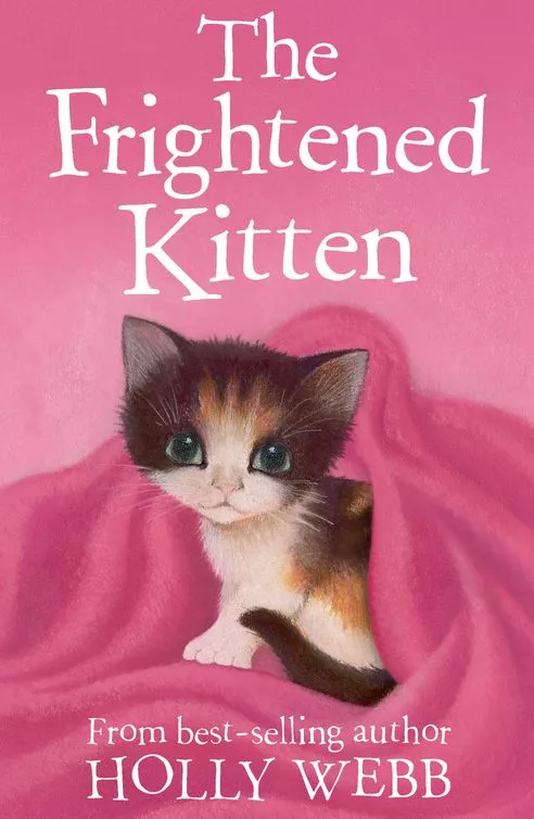 The Frightened Kitten