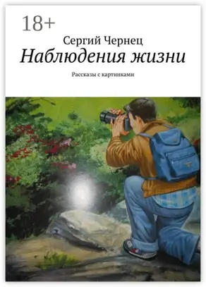 Наблюдения жизни. Рассказы с картинками