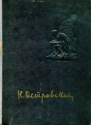 Рожденные бурей