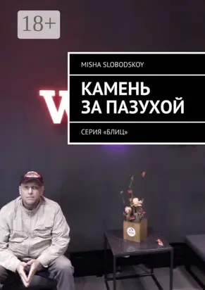 Камень за пазухой. Серия «Блиц»