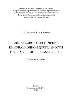 Финансовое обеспечение инновационной деятельности и управление рисками в НГХК