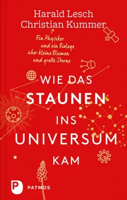 Wie das Staunen ins Universum kam