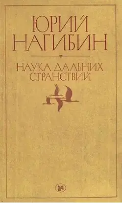 Прекрасная лошадь