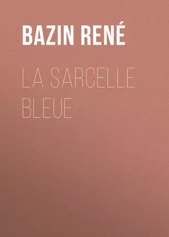 La Sarcelle Bleue