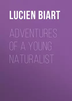 Adventures of a Young Naturalist