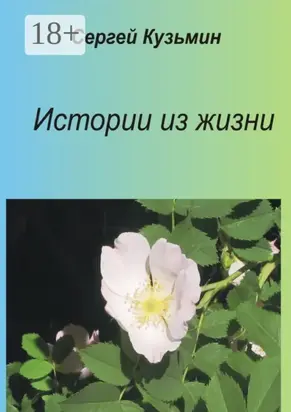 Истории из жизни