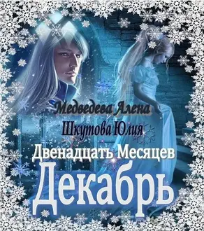 Двенадцать Месяцев. Декабрь [СИ]