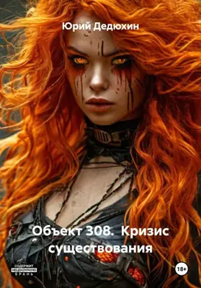 Объект 308. Кризис существования