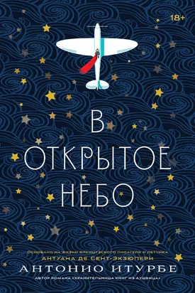 В открытое небо (основано на жизни французского писателя и летчика Антуана де Сент-Экзюпери) [litres]
