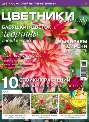 Цветники в саду №10/2017