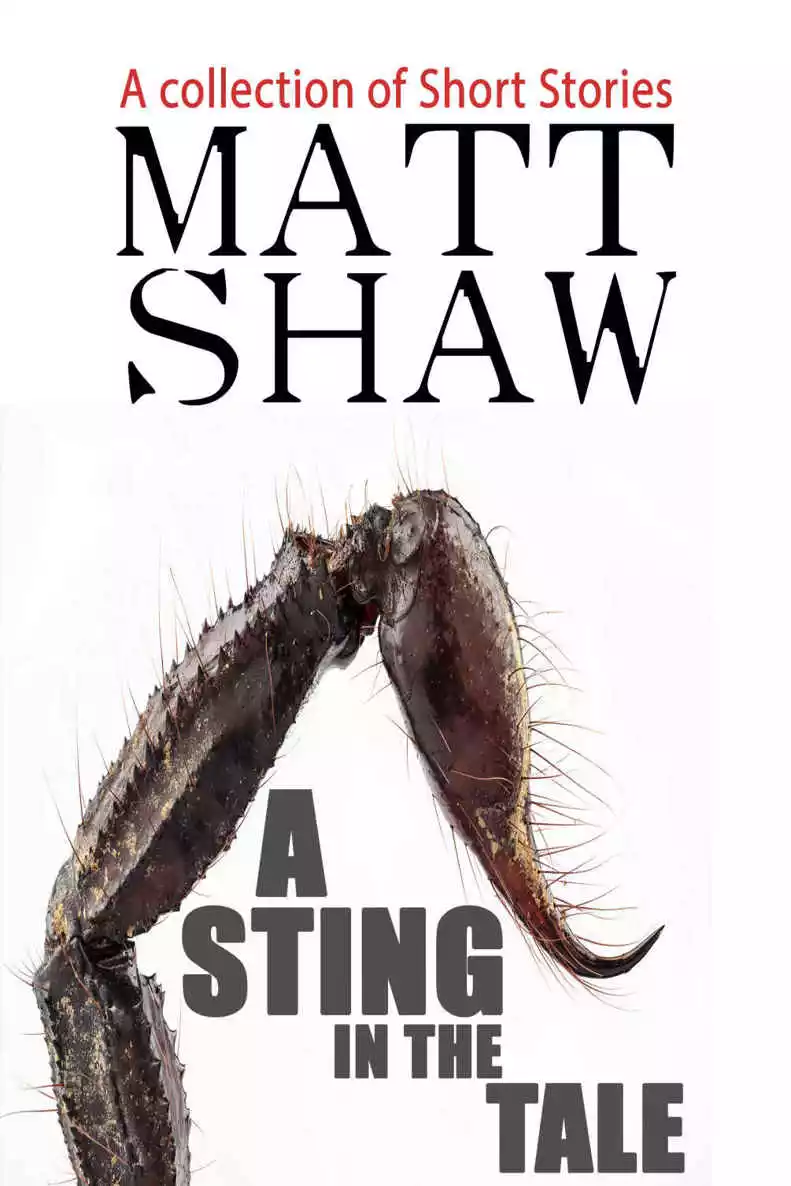 A Sting in the Tale: A Collection of Short Stories