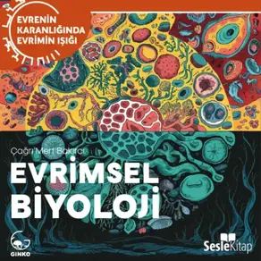 EVRENİN KARANLIĞINDA EVRİMİN IŞIĞI BÖLÜM 2 / MATEMATİKSEL EVRİM VE POPÜLASYON GENETİĞİ - Evrimin Teorisi ve Matematiği
