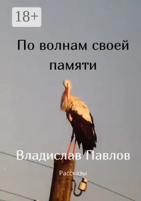 По волнам своей памяти. Рассказы