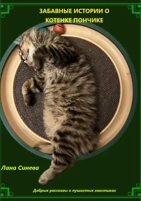 ЗАБАВНЫЕ ИСТОРИИ О КОТЕНКЕ ПОНЧИКЕ