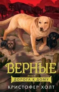 Дорога к дому [litres]