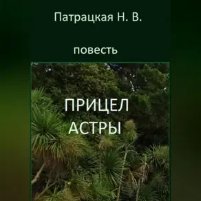 Прицел астры