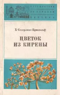 Цветок из Кирены