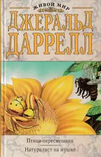 Птица-пересмешник [Новый перевод]