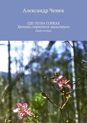 Где-то на сопках. Хроники строителя магистрали. Книга 2