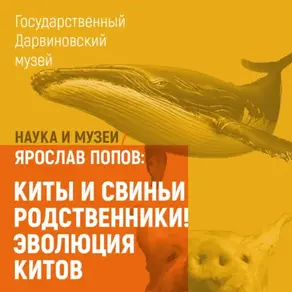 Киты и свиньи родственники! Эволюция китов