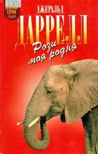 Рози - моя родня