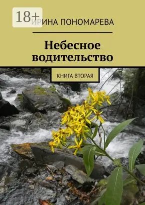 Небесное водительство. Книга вторая