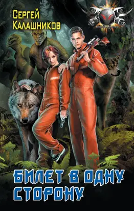 Билет в одну сторону [litres]