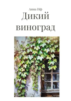 Дикий виноград