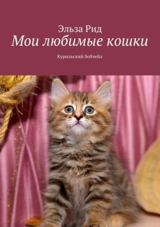 Мои любимые кошки. Курильский бобтейл