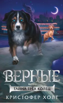 Тайна трёх колец [litres]