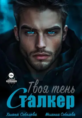 Сталкер. Твоя тень