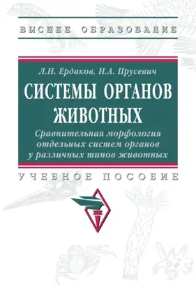 Системы органов животных. Сравнительная морфология отдельных систем органов у различных типов животных