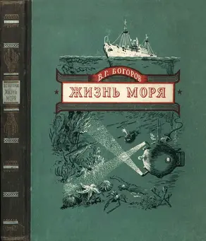 Жизнь моря