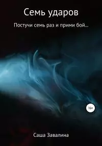 Семь ударов [litres самиздат]