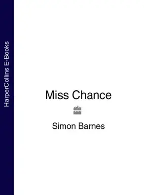 Miss Chance