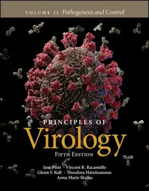Principles of Virology, Volume 2