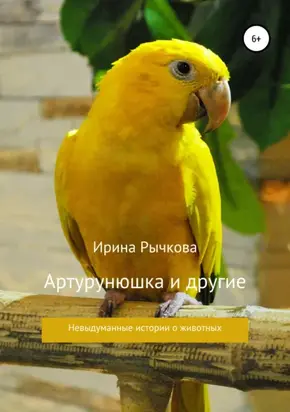 Произвольное внимание