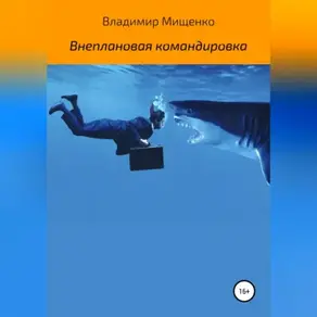 Внеплановая командировка