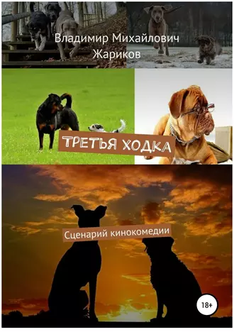 Третья ходка. Сценарий