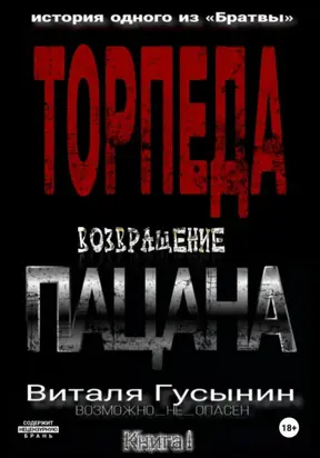 Торпеда. Возвращение пацана. Книга 1