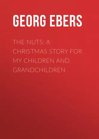 The Nuts: A Christmas Story for my Children and Grandchildren